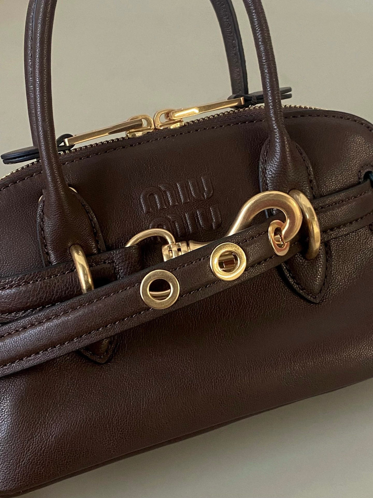 Aventure Nappa Mini Bag 21 in Brunette Brown Calfskin Gold Hardware
